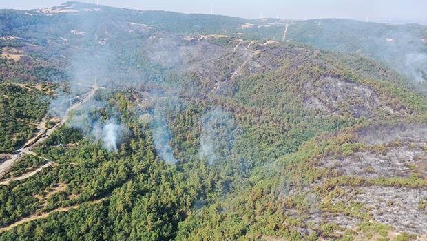 Balıkesir’deki orman yangını 29 saat sonra kontrol altına alındı